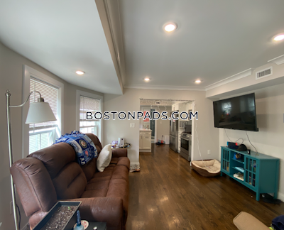 Allston/brighton Border 4 Beds 2 Baths Boston - $5,950