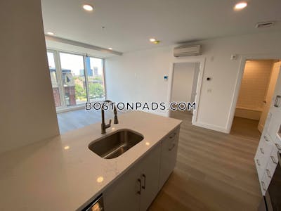 South End Modern 1 Bed 1 Bath on Newcomb St. in South End Boston - $2,800