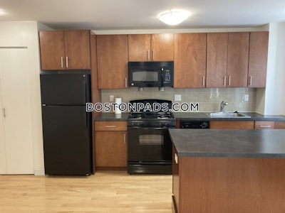 Brighton 1 Bed 1 Bath Boston - $3,393