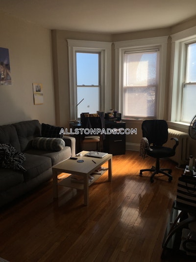 Allston Apartment for rent 1 Bedroom 1 Bath Boston - $2,500