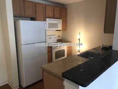 Dorchester Apartment for rent 2 Bedrooms 2 Baths Boston - $5,266 No Fee