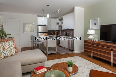 Downtown Apartment for rent 1 Bedroom 1 Bath Boston - $3,600