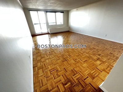 West End Apartment for rent 1 Bedroom 1 Bath Boston - $3,660