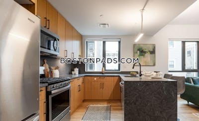 Allston Apartment for rent 3 Bedrooms 2 Baths Boston - $5,925