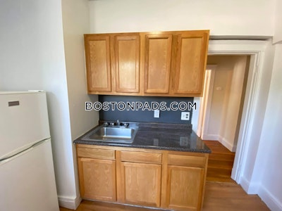 Brighton Apartment for rent 1 Bedroom 1 Bath Boston - $2,275 No Fee