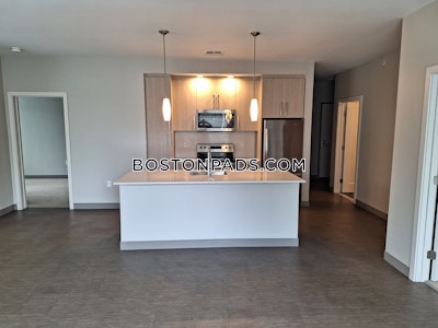 Jamaica Plain 2 bedroom  baths Luxury in BOSTON Boston - $3,875 No Fee