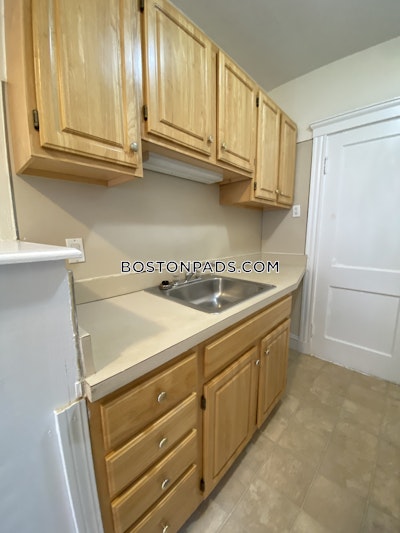 Brighton Apartment for rent 1 Bedroom 1 Bath Boston - $2,300 No Fee