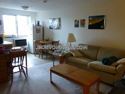 Cambridge Apartment for rent Studio 1 Bath  Davis Square - $2,300 No Fee