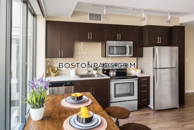 Downtown Studio  Luxury in BOSTON Boston - $3,230