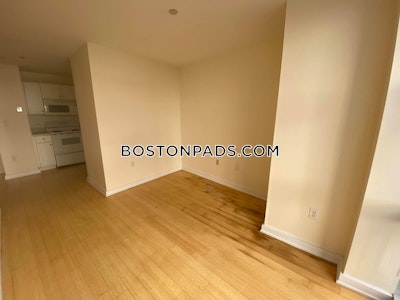 Downtown Apartment for rent 1 Bedroom 1 Bath Boston - $3,000