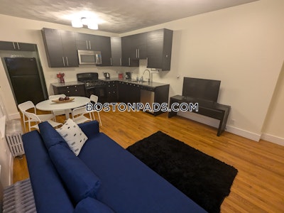 Allston Apartment for rent 2 Bedrooms 1 Bath Boston - $2,795 50% Fee